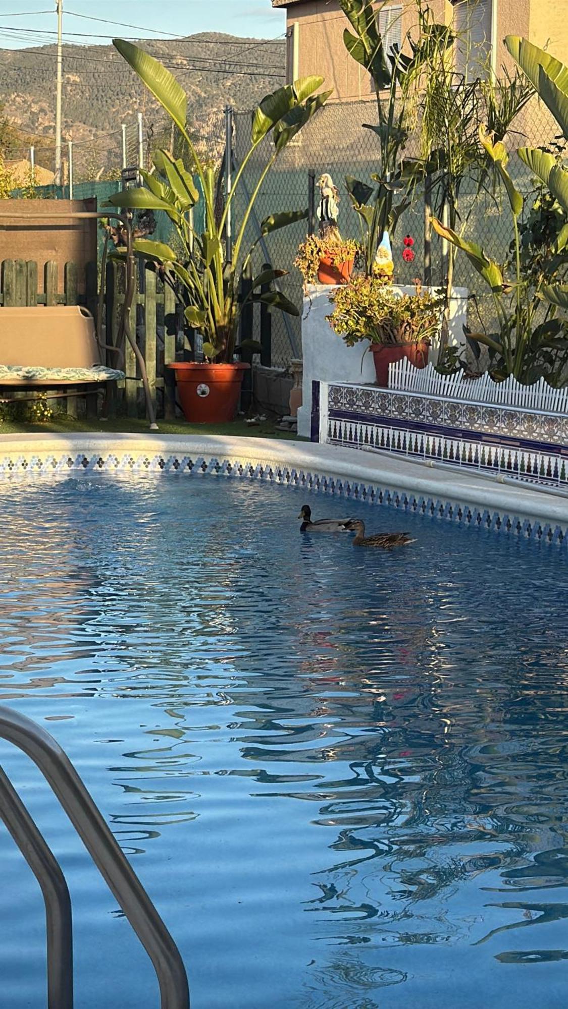 Casa Rural A 4Km De Murcia Con Piscina Y Spa Caliente المظهر الخارجي الصورة